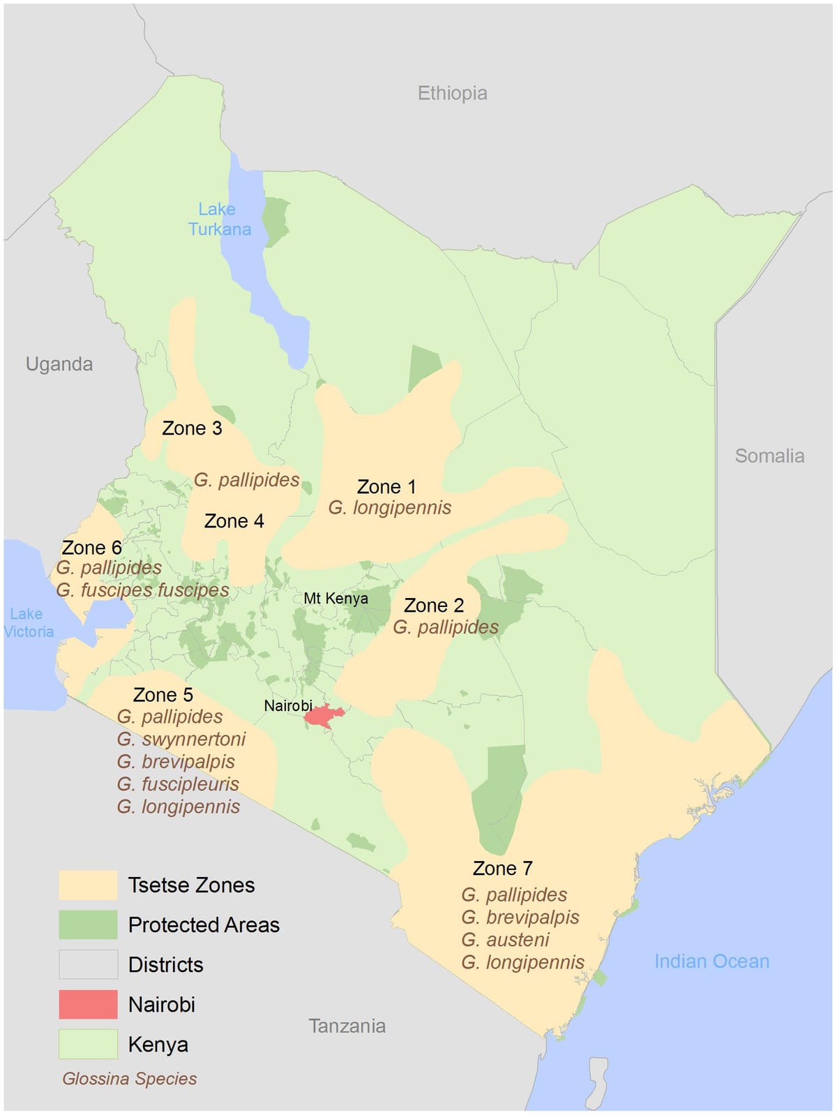 Kenya institutu geodeziya və kartoqrafiya kursları