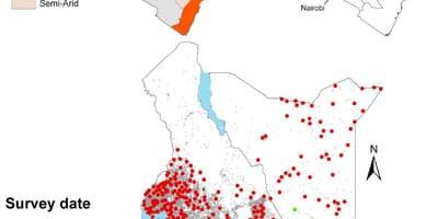 Məktəb, Keniya, müayinəsi və müqayisə olunması