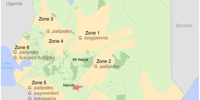 Kenya institutu geodeziya və kartoqrafiya kursları